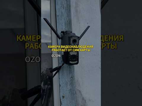 OZON Артикул #1949480007 WB #344102720