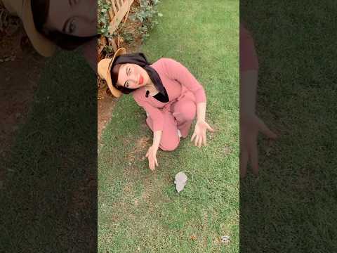 انا عملت فار من صلصال الفوم وعملت مقلب في القطط 😱 #shortvideo #اكسبلور #رسم #fypage #fypシ゚viral
