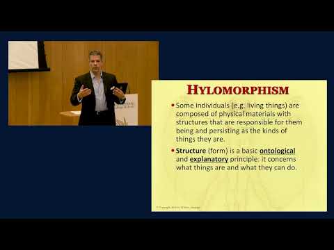 Hylomorphic Structure, Emergence, & Supervenience
