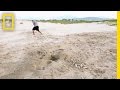 Conservación de Tortugas y el Comercio de Huevos