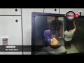 Download Video VIDEO; Kes Cabul Wanita Di Dalam Lif!!! 02 Download Video VIDEO; Kes Cabul Wanita Di Dalam Lif!!! 02