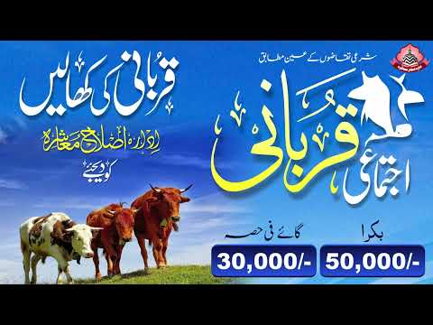 Ijtimai Qurbani 2024 | Idara Islahe Muashra