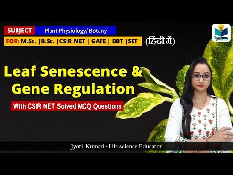 Leaf Senescence & Genes Role || With solved Question || Stress Physiology || Plant