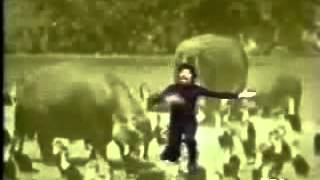 Eu Nasci Há 10 Mil Anos Atrás