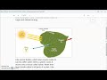Human Body Functions and Nutrition