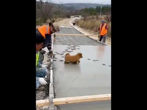 Que lindo trabajo 🤣🤣