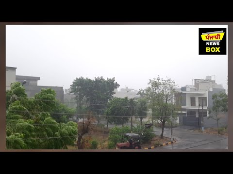 ਪੰਜਾਬ 'ਚ ਅੱਜ ਮੀਂਹ ਪੈਣ ਦੀ ਭਵਿੱਖਬਾਣੀ Weather forecast of Punjab Today Rain perdiction | Punjabi News