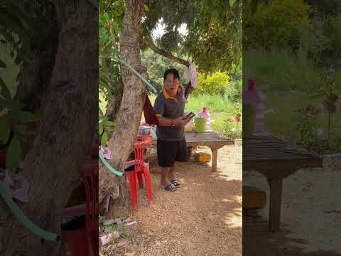 ทำไมไม่ได้แบบนั้น How come it's the way it is #ตลกฮาฮา #funny