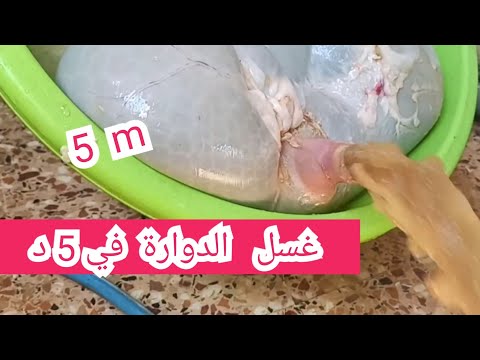غسل الكرشة / الدوارة و الأمعاء دون فتحها