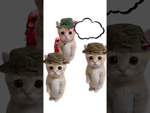 Как работает дауншифтинг? Кисы объясняют 😻