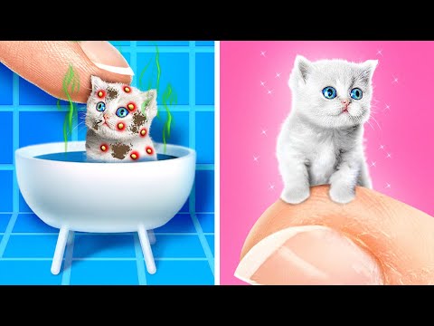 BEST PET GADGETS & HACKS || How To Take Care Of Your Furry Friends by 123 GO! Live