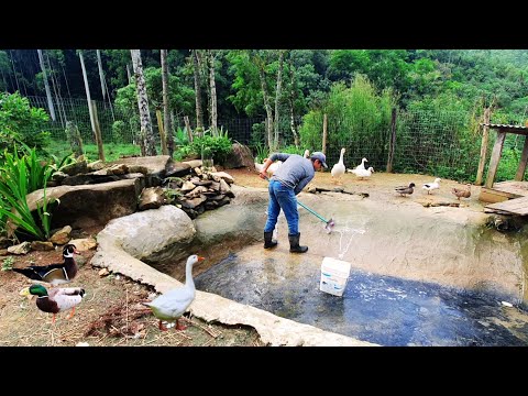 ÁGUA DE NASCENTE BROTA DA PEDRA NO SÍTIO + LAGO DOS PATOS