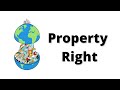 Property Rights and Environmental Economics