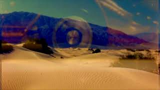 The Presidents of the United States of America - Dune Buggy (Lyric Video)
