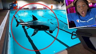 Survive Shark in Minnow Without Screaming *IMPOSSIBLE*