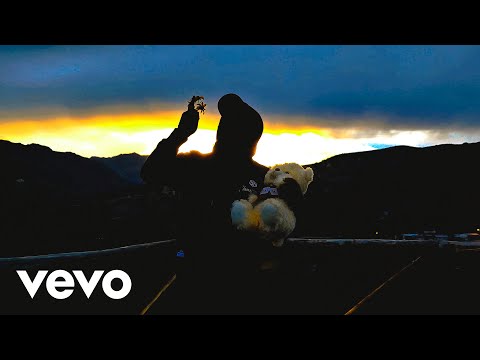 Alan Walker Style - Do Me The Favor (Official Music Video)