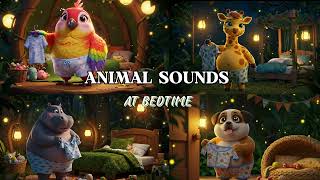 Animal Sounds at Bedtime 🐘🦁 Jungle Lullaby for Kids 🌙  203