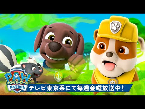 パウ・パトロール | アドベンチャー・ベイでラブルのくさいレスキュー！ズーマとチェイスも一緒｜１時間｜ラブルと仲間たち | テレビ東京系にて放送中