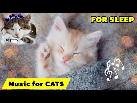 Calming Cat Lullaby with Purring Sounds | Relaxing Cat Music