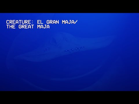 Sonidos de El Gran Majá