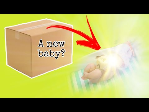 Phenomenal Box Opening of 2 Full-Body Baby Dolls! nlovewithreborns2011