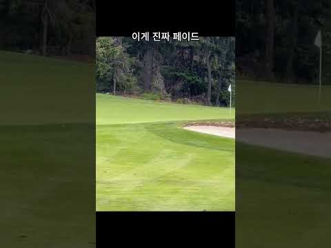 이게 진짜 페이드 #골프 #golf