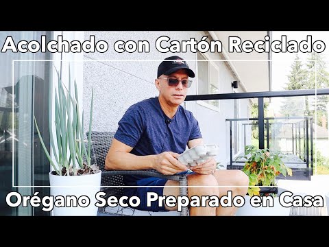 Truco Para Acolchado con Carton de Huevos - Oregano Seco Preparado en Casa