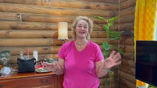 How To Build A Small Cabin