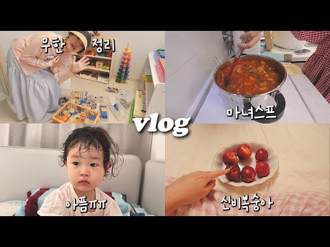 vlog 무한정리 하다가 사랑이가 아프고 마녀스프를 해먹는 신비복숭아가 맛있는 브이로그🍑