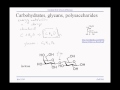 Nucleic Acids and Carbohydrates Concepts
