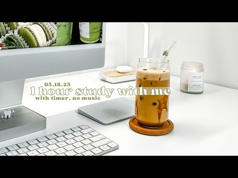 1 hour study with me 03.18.23, timer | no music, typing sounds, no midroll ads