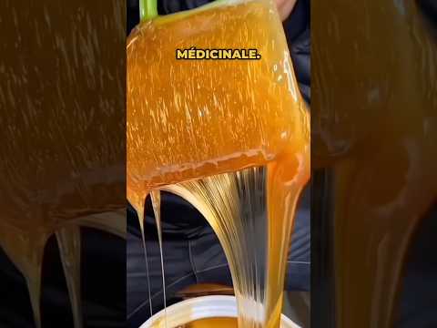 Le miel sauvage, une pâte vivante pleine de saveurs 🍯