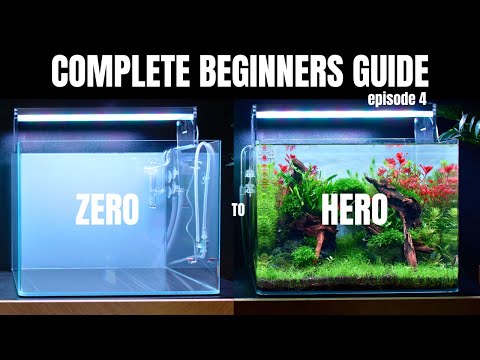 EP:4 Complete Aquascaping Beginners Guide - Planting