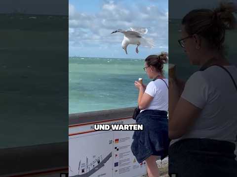 VERSTECKT EUER ESSEN