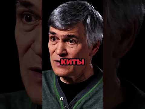 Владимир Сурдин о возможной жизни на спутнике Юпитера - Европе #астрономия #космос