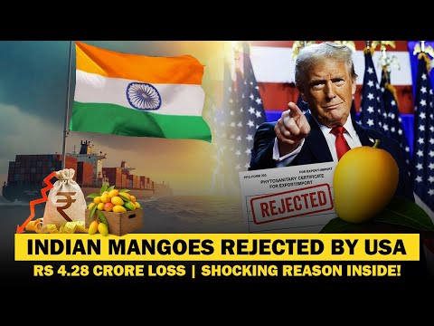 🇮🇳 Indian Mangoes Rejected by USA | Rs 4.28 Crore Loss | Shocking Reason Inside! | iiiEM