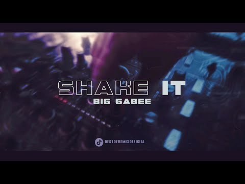 INNDRIVE - Shake It (Big Gabee Remix 2025)