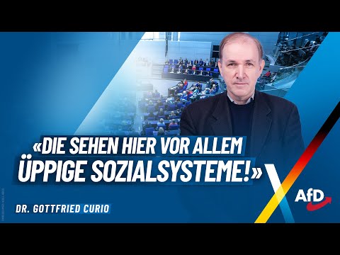 "Die sehen hier vor allem üppige Sozialsysteme!" - Dr. Gottfried Curio - AfD