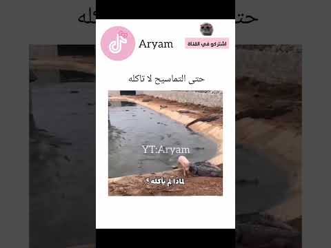 سبحانه لم يحرم شيئا عبثا🤍🤍#explore #اكسبلور #كامري #ترند #تحشي #ضحك #تحشيش #kpop #كوميديات