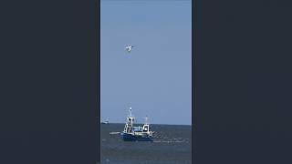 Borkum Fischkutter
