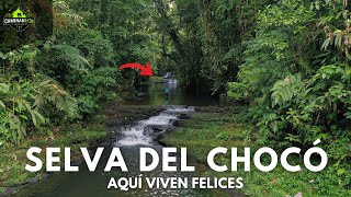 Así es el PARAÍSO. VIVEN en San Francisco de Ichó (Colombia)