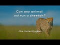 Understanding Speed: From Paralympic Runners to Cheetahs