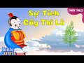 Cây Cỏ và Tác Dụng của Chúng