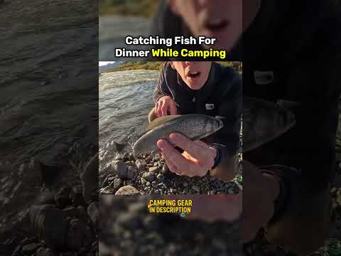 Catching Fish for Dinner While Camping in Forest