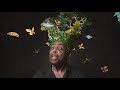 Mensagens e Ações sobre a Floresta
