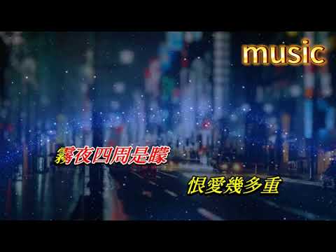 霧夜 林珊珊KTV 伴奏 no vocal 無人聲 music 純音樂 karaoke 卡拉OK 伴唱 instrumental霧夜 林珊珊