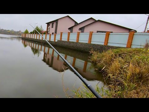 Ловлю судака прям из под забора! Изучаю новый водоём! Прогулялся с спиннингом по берегу