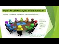 Organizações Internacionais e Seus Funcionamentos