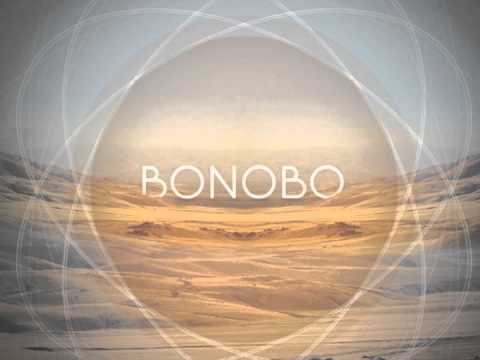 Maya Jane Coles - Something In The Air (Bonobo Remix) (Official Audio)