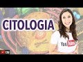 Cell Structure and Function Concepts